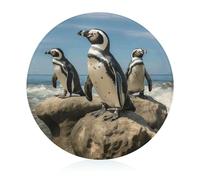 Penguin on The Beach Cutting Board for Kitchen Small Non Slip Tempered Glass Cutting Mat Heat Resistant Chopping Board for Cutting Meats Fruits Vegetables 7.9" X 7.9"