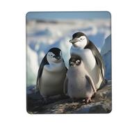 Penguin Parents Mouse Pad with Non-Slip Rubber Base 10 x 12 inch Mouse Mat with Stitched Edge Gaming Mousepad for Wireless Mouse Computer Laptop Home Office Desk Pad