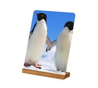 Penguin Print, Metal Photo Frame, Custom Picture Frame Table Desk Picture Display Picture Frame Set, 7 in