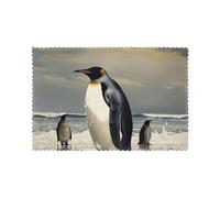 Penguin Printed Placemats Set of 6 PCS, Heat Resistant Non-Slip Table Mats for Dining Table, Washable Kitchen Place Mats for Indoor & Outdoor