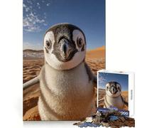 Penguin Selfie at Sahara Desert 1000 Piece Jigsaw Puzzles for Teenagers Memory Gain Stress Free Design Assembly Heartfelt Gift (38x52cm)