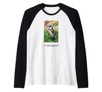 Penguin Shirt Endangered Galapagos Penguin Raglan Baseball Tee