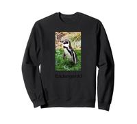 Penguin Shirt Endangered Galapagos Penguin Sweatshirt