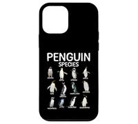 Penguin Species Educational Animal Penguin Lover Case for iPhone 12 mini