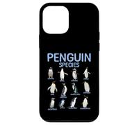 Penguin Species Educational Types Of Penguins Sea Animal Case for iPhone 12 mini