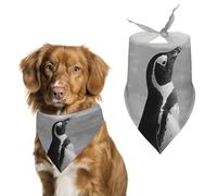 Penguin Standing on The Beach Pet Scarf Print Pet Triangle Bibs Scarf Dog Bandanas Cat Birthday Cute Soft Puppy Scarfs Washable Daily Handkerchief for Small Medium and Large Dogs