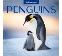 Penguins 2026 Calendar: Arctic Wildlife and Nature Photography