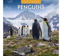 Penguins - 2026 Square Wall Calendar - by Red Robin Publishing