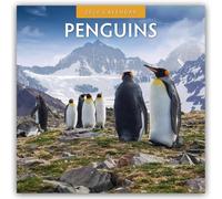 Penguins 2026 Square Wall Calendar: Original Red Robin Publishing Ltd-Kalender [Mehrsprachig] [Kalender]