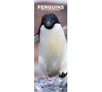 Penguins 2026 Wall Calendar, 12-Month Slim Format, Made in England