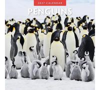 Penguins - 2027 Square Wall Calendar - by Red Robin Publishing