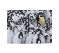 Penguins Adults 500 Pieces Puzzles-Jigsaw Wooden Puzzle for Adults Elderly