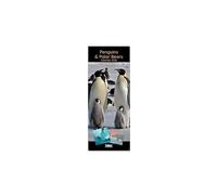 Penguins and Polar Bears 2026 Slim Wall Calendar