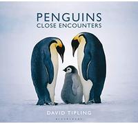 Penguins: Close Encounters