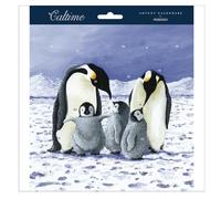Penguins Happy Family Square Traditional Advent Calendar, Gift
