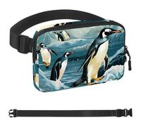 Penguins on Iceberg-1509 Unisex Style Fanny Pack: Fashion Waist Packs, Crossbody Bags Sport Slim Fashionable for Jogging Hiking Hiker Woman Man, Multicolor, 1.5x9.0x5.9in/4x23x15cm