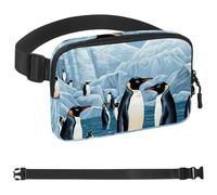 Penguins on Iceberg-1512 Unisex Style Fanny Pack: Fashion Waist Packs, Crossbody Bags Sport Slim Fashionable for Jogging Hiking Hiker Woman Man, Multicolor, 1.5x9.0x5.9in/4x23x15cm