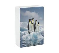 Penguins On The Iceberg Cigarette Case Stylish Lightweight Pocket Holder Case for Smoke Waterproof Cigarette Dispenser Cigarettes Accessories for Outdoor Camping Hiking