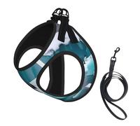 Penguins On The Iceberg Print Soft Mesh Dog Harness and Leash Set Pet Puppy Cat Comfort Padded Vest No Pull Harnesses