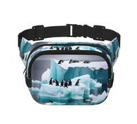 Penguins On The Iceberg Print Square Waist Purse Double Layer Fanny BagTrendy Travel Waist Bag for Men and Women, Black, One Size