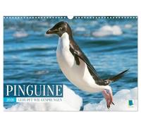 Penguins: Plucked Like Jumping (Wall Calendar 2026 DIN A3 Landscape), CALVENDO Monthly Calendar: Penguins: Invite You to Smile and Laugh (CALVENDO Animals)