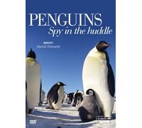 Penguins - Spy in the Huddle (DVD)