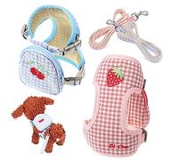 PENIKOKO 2pcs Detachable Puppy Harness and Leash Set Small Dog Backpack Vest Blue Cherry Pink Strawberry Outdoor Use for Small Dogs