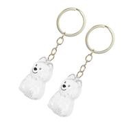 PENIKOKO 2pcs Transparent Pet Hair Keepsake Keychain Box Compact Portable Memorial Storage Holder for Dog Secure Stylish Accessory to Preserve Precious Pet Memories