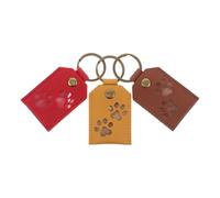 PENIKOKO 3pcs Pet Hair Memorial Keychain Transparent Square Storage for Dog Keepsake Portable Pet Souvenir Brown Red Yellow for Keys and Bags