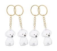 PENIKOKO 4pcs Dog Hair Storage Keychain with Clear Dustproof Capsule Sealed Pet Hair Souvenir Holder for Emotional Connection and Memorial Gift for Dog Lovers