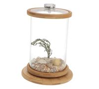 PENIKOKO Decorative Aquarium Tank Fish Bowl Tempered Glass Rotating Desktop Fish Aquarium Led Light Office Micro Landscape Bottle for Home and Office