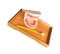 PENIKOKO Preschool Teeth Model Teaching for Bamboo Tray Early Learning for Tooth Brushing Skills Motor Coordination Development Care Education Tool
