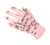 PENIKOKO Reflexology Hand Training Model PVC Hand Display with Acupoints Markings for Tcm Education and Massage Learning Tool Suitable for Beginners