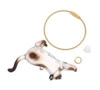 PENIKOKO Transparent Cat Hair Keepsake Keychain Lightweight Pet Capsule Organizer for Whisker Memory Portable Clear Storage Bottle for Pet Hair Cute Kawaii Cat Keyring for Furry Friends