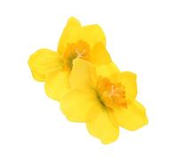 PENIKOKO Vintage Narcissus Flower Hairpin Clip Set, Daffodil Floral Side Bangs Hair Accessory for Women, Chinese Hanfu Style Headdress for Weddings and Everyday Wear