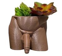 Penis Planter: 4.7" Resin Unique Male Body Flower Pot, Quirky Home Decor, Funny Succulents Pot for Home & Garden (Brown)