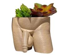 Penis Planter, 4.7inch Resin Unique Male Body Plant Pot, Quirky Flower Pot Home Decor, Funny Succulents Pot for Home Garden Decorations(Beige)