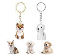 Penitue 2pcs Dog Fur Keepsake Keychain, Adorable Pup Capsule Keychain Premium Dog Hair Collector for Pet Enthusiast Memento (Golden Retriever + Corgi)