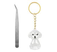 Penitue Dog Hair Collector Keychain with Tweezers, Transparent Pet Fur Storage Bottle Memorial Charm Clear Cute Animal Memorial Keepsake Key Chain for Dog Owners & Pet Lovers