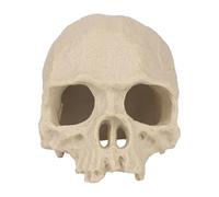 Penitue Halloween Fish Tank Decor, Horror Human Skull Aquarium Decor Vivarium Fish Hides Decorations Accessory for Betta Shrimp