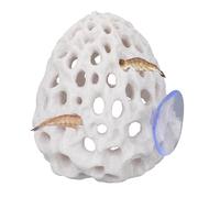 Penitue Shrimp Hides for Aquarium, Multi-Hole Shrimp Dome Hide with Suction Cup Coral Design Betta Fish Toys Fish Tank Accessories for Guppy and More Hiding Resting (White)