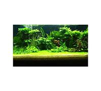 PENKOHOME 3D Prints Aquarium Underwater Backdrop Image Decor Fish Tank Background Poster for Aquarium Fish Tank