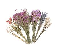 Penlimly Natural Hamster Flower Bedding, Dried Flowers and Plants Hamster Cage Decoration, Small Animal Flowers Habitat Decor for Syrian Dwarf Hamsters Gerbils Mice Degus