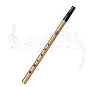 penmol Tin Whistle Penny Whistle Six-holed Tin Whistle D,D Tin Whistle Perfect for Traditional Celtic Music (Black)