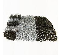 Penn Elcom M6 Rack Screw Pack 12mm / 1/2" Screw R0889K-25/12mm