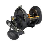 PENN Fathom II Star Drag Fishing Reel, Black, Gold