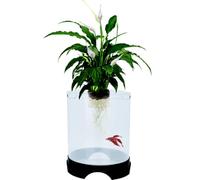 Penn Plax Aquaponic Betta Fish Tank and Planter - Promotes a Healthy Environment for Plants and Fish, Replicates Nature’s Metabolic Cycle - 1.4 Gallon