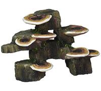 Penn-Plax Deco-Replicas Tree Trunk with Shelf Mushrooms Aquarium Decoration - Safe for Freshwater and Saltwater Fish Tanks - Small