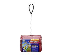 Penn-Plax Infrared Fast Net for Fish Tanks, Red Color for Invisibility, Durable, Strong and Safe, 8 x 6 Inch Net, 10 Inch Handle
