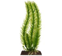 Penn-Plax Plant-S Club Moss